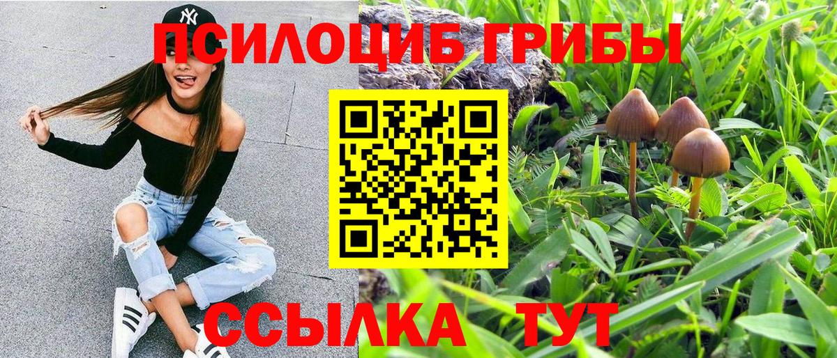 где можно купить наркотик  Галлюциногенные грибы мицелий  Вход с VPN  Галлюциногенные грибы мухоморы  Абакан 